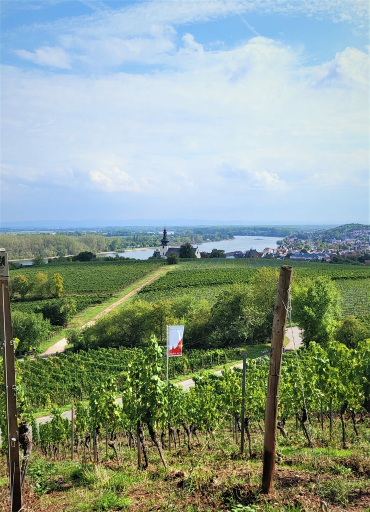 Beschwipster Apfelkuchen - ein herbstlicher Genuss - Salzig, Süß und Lecker Beschwipster Apfelkuchen - ein herbstlicher Genuss - Salzig, Süß und Lecker