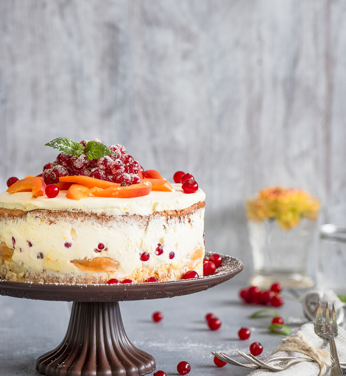 Aprikosen-Sahnequark-Torte Rezept