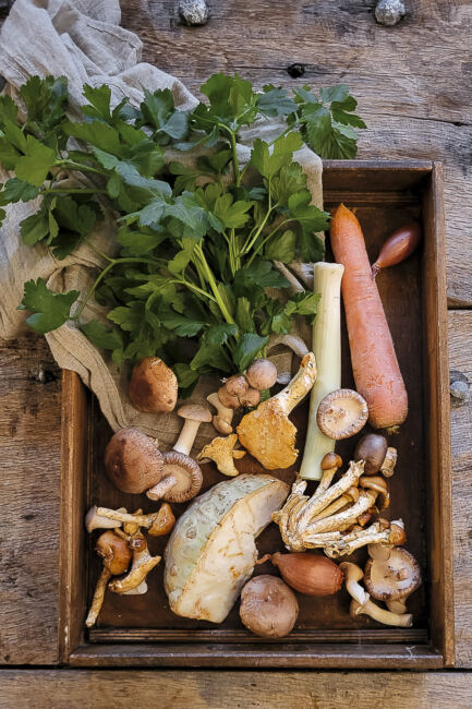 Genussvolles Pilz Bourguignon mit Blumenkohlpüree