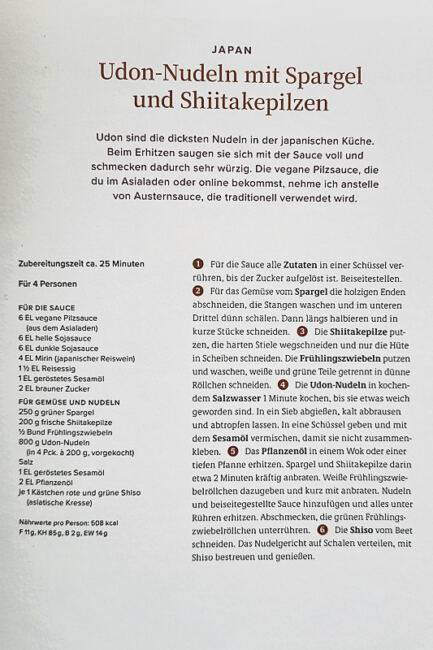 Rezept Udon-Nudeln - Deftig Vegan - Asien